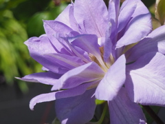 春の陽を浴びて