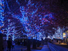 イルミネーション