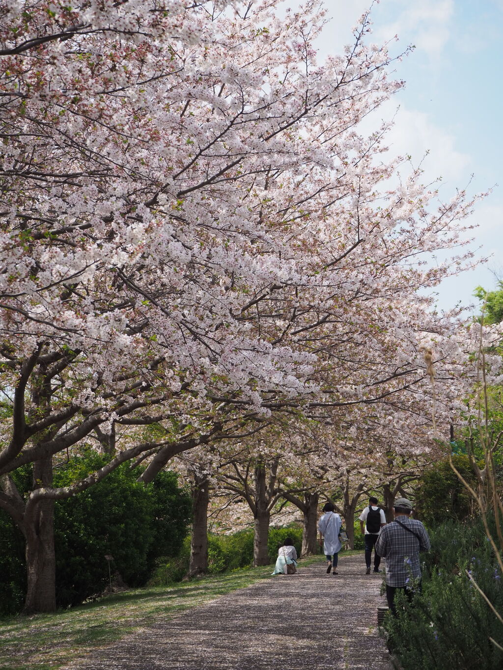 小春日和に誘われて