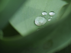 水滴