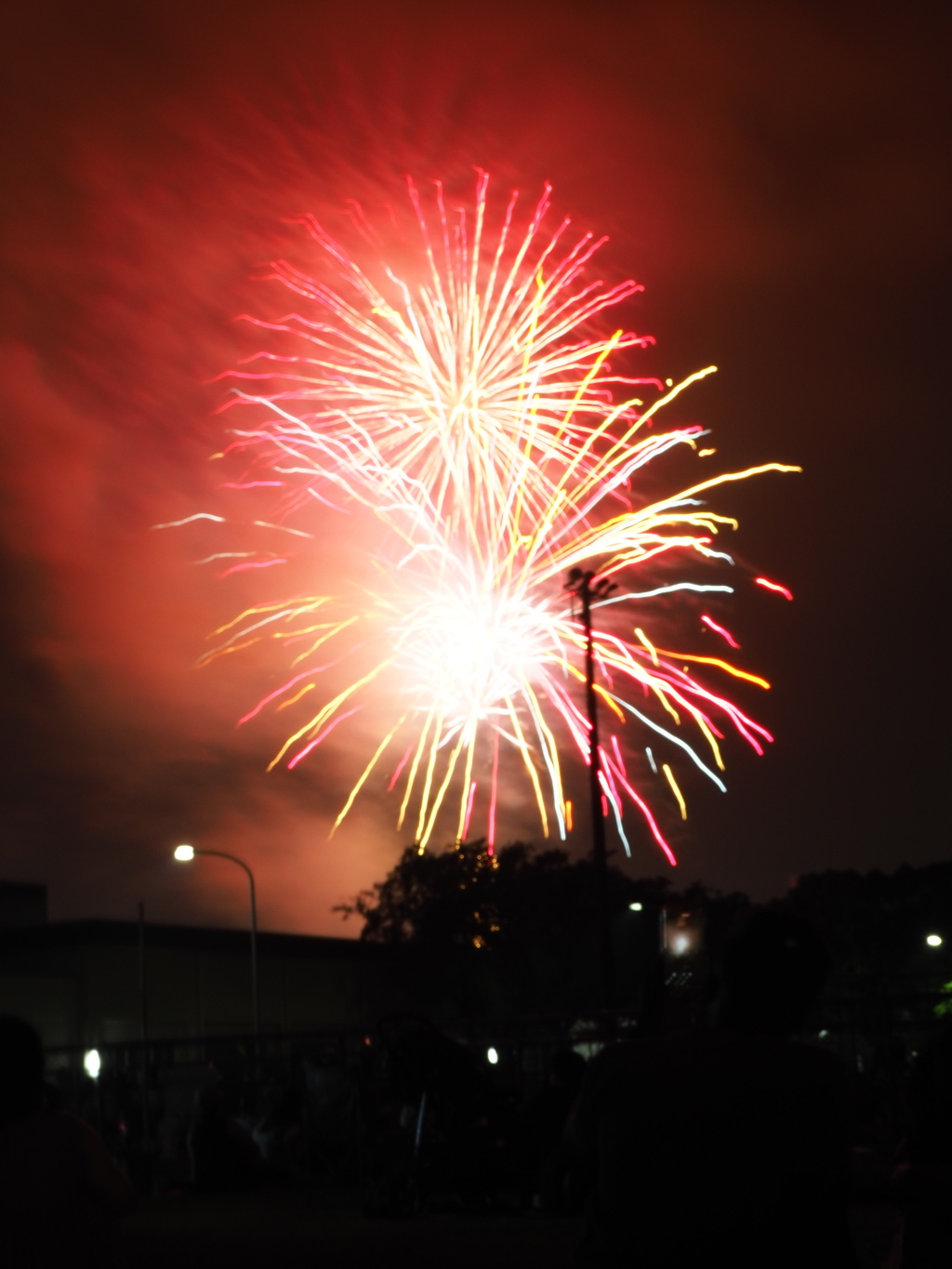 夜空の花