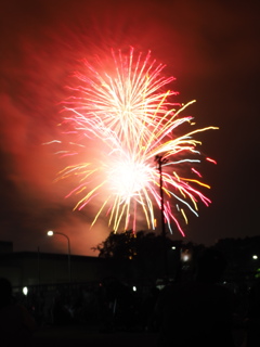 夜空の花