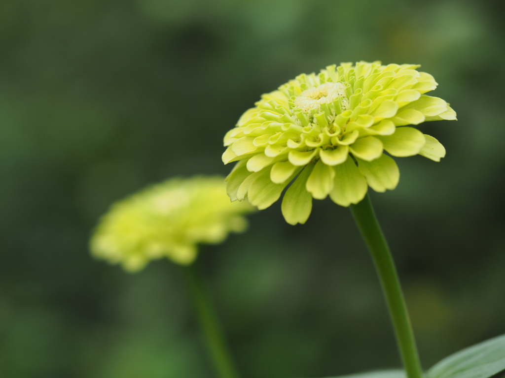 出来立てのような色合い