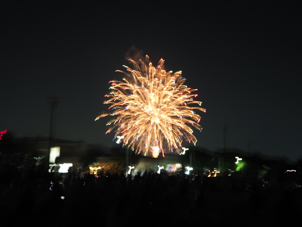 今年初の花火です