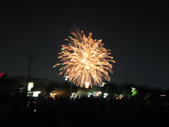 今年初の花火です