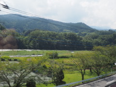 長閑な風景