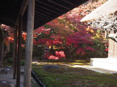 縁側からの景色