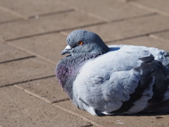 少しでも、暖かく