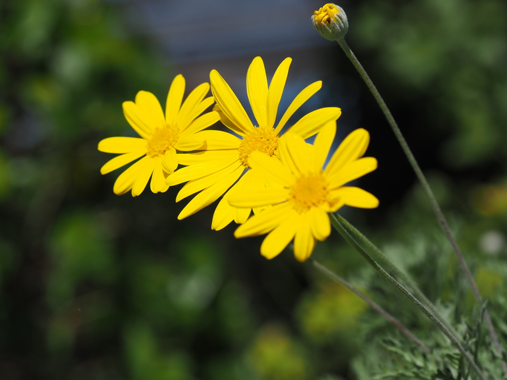 寄り添いながら