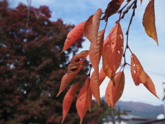 手前の秋と後ろの秋