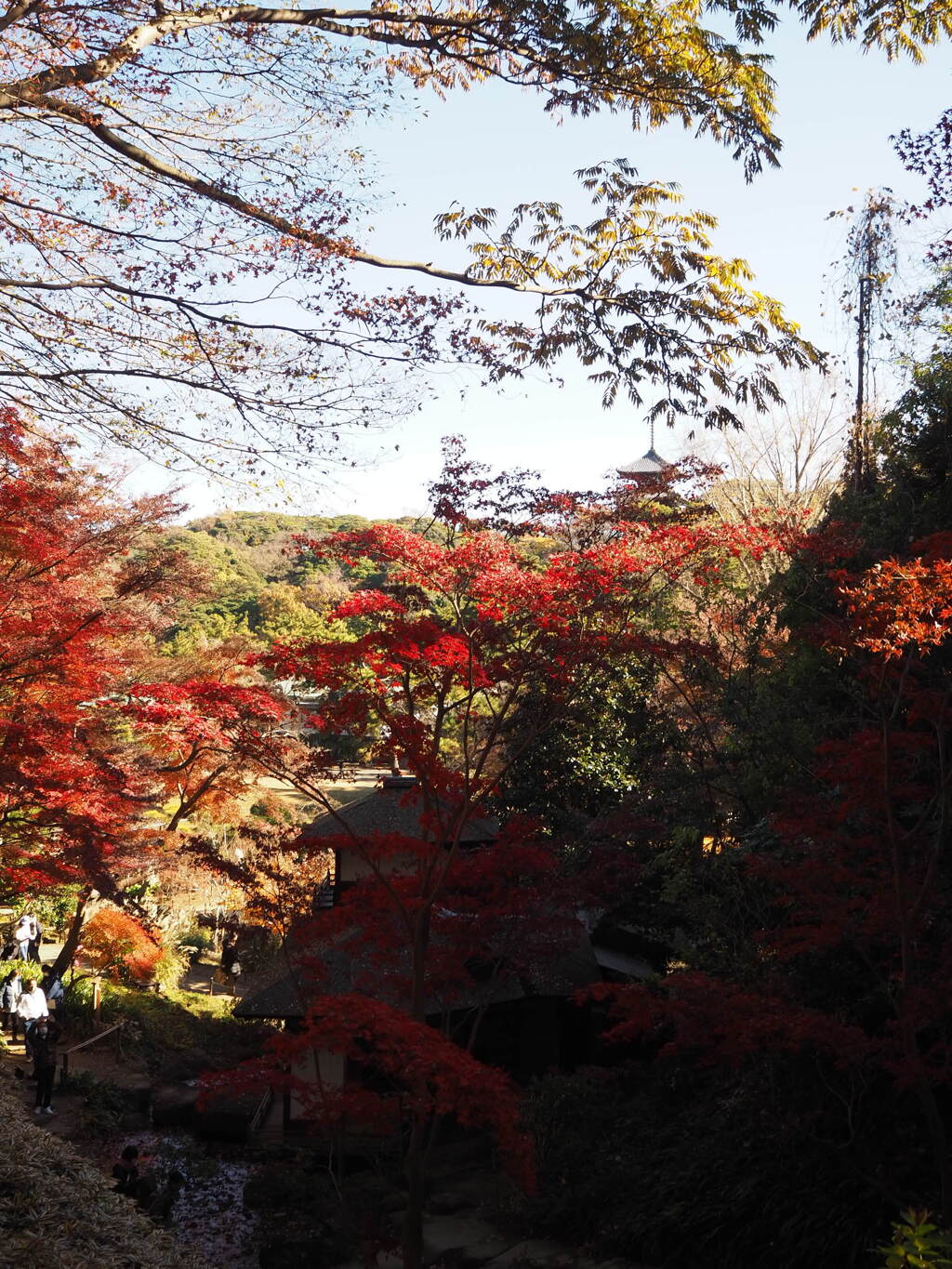 紅葉の先の塔