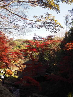 紅葉の先の塔
