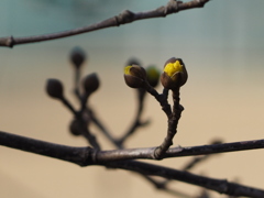 もうすぐ、そこまで来てます