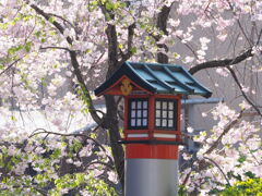 神社の春