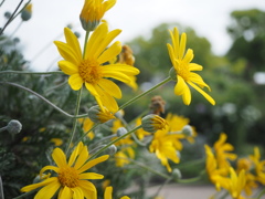今までも、これからも