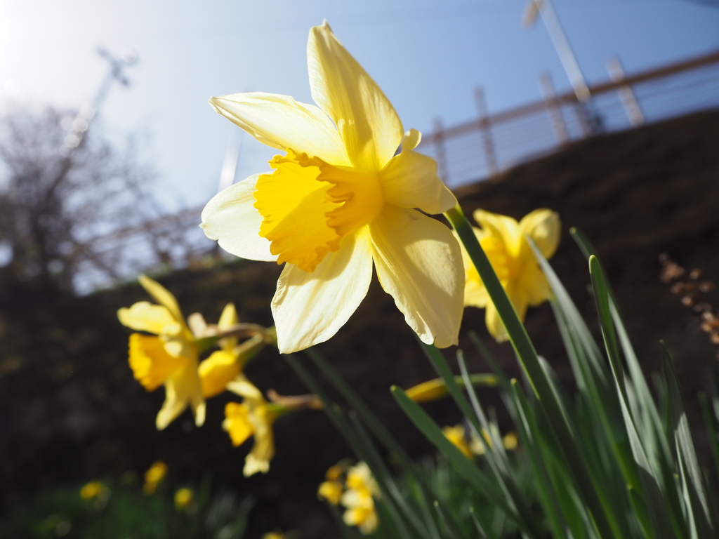 日差しを浴びて