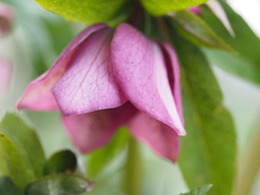 緑の中の色づかい