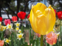 春の日差しを受けて