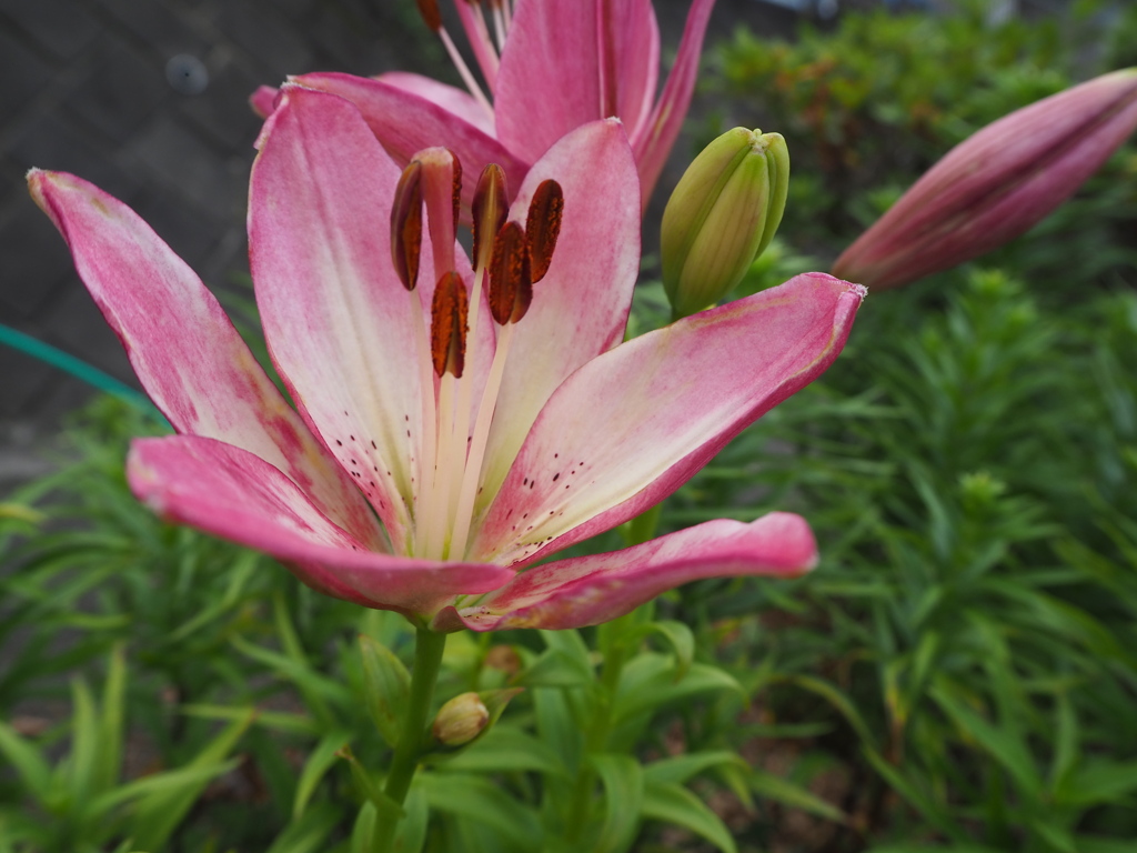 包み込まれたい