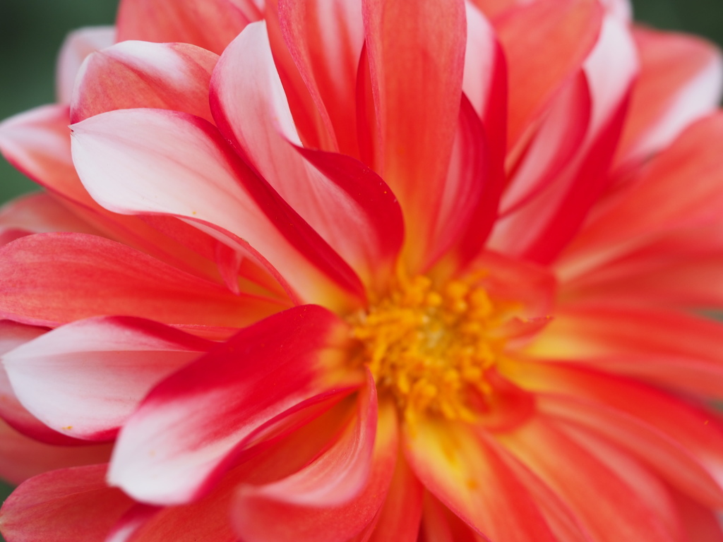 カラーマジック