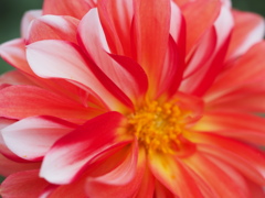 カラーマジック