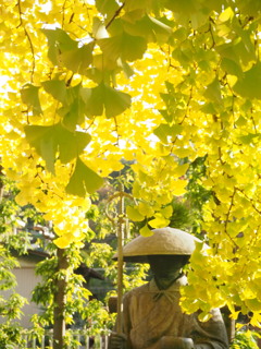 弘法大師とイチョウ