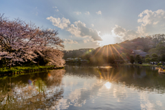 三渓園の夕陽