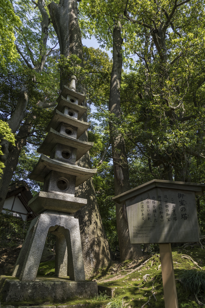 兼六園の風景