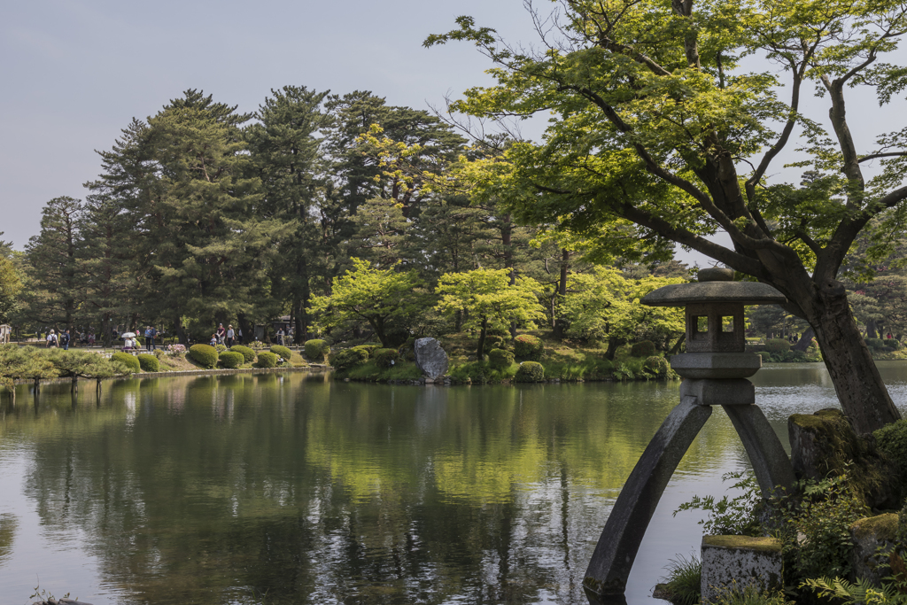 兼六園の風景