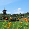 一足先に秋を感じて