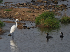 何か気になるシーン