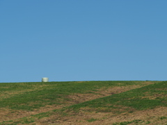 牧草が刈られた丘