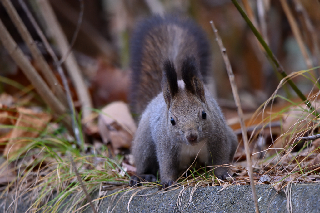 何してんの～？