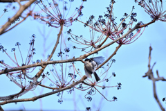 メルヘンチックな