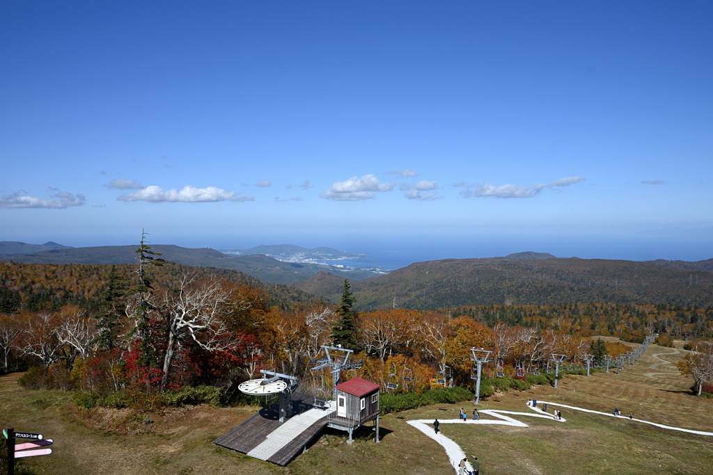 屋根の上から見た景色