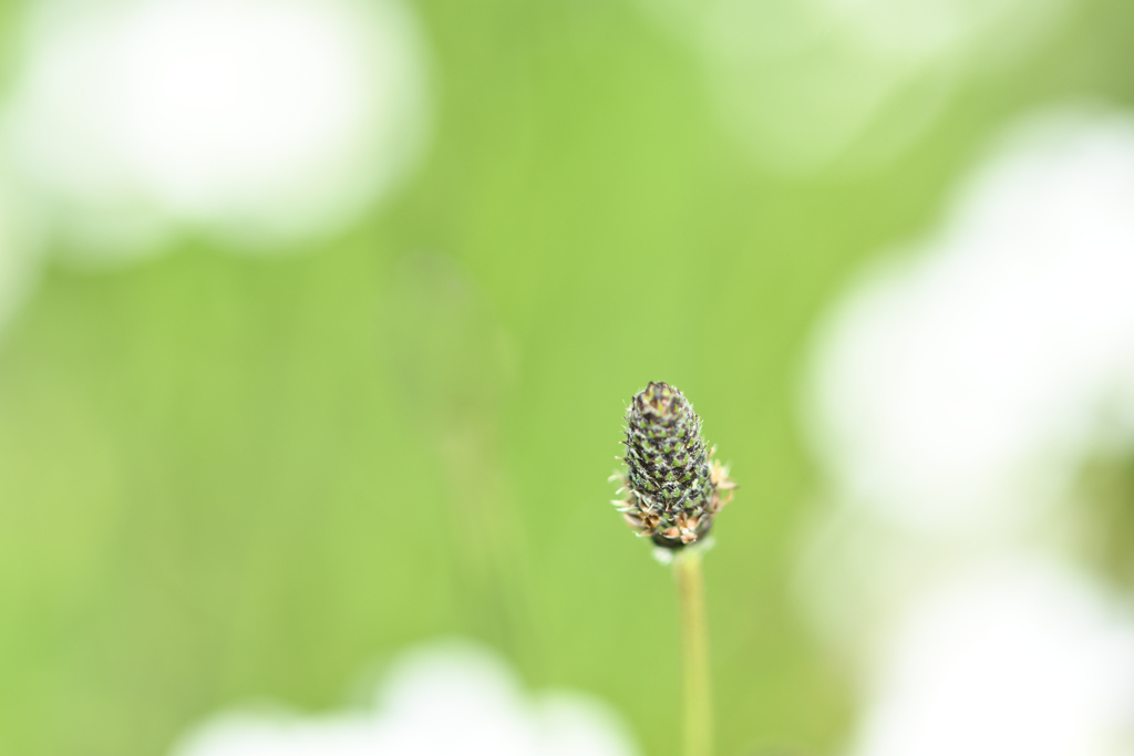 やくめを終えて