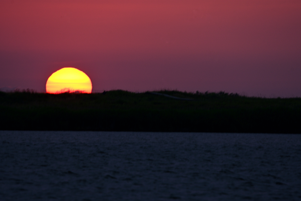 に吠えろ その２ ^^