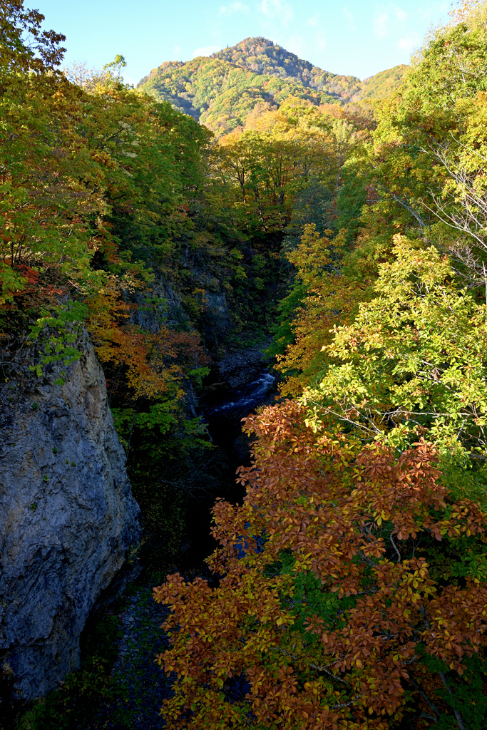 渓谷の紅葉