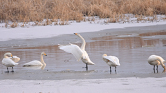 ハ~イ整列して～