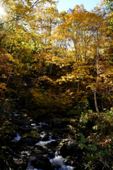 紅葉三昧 その１