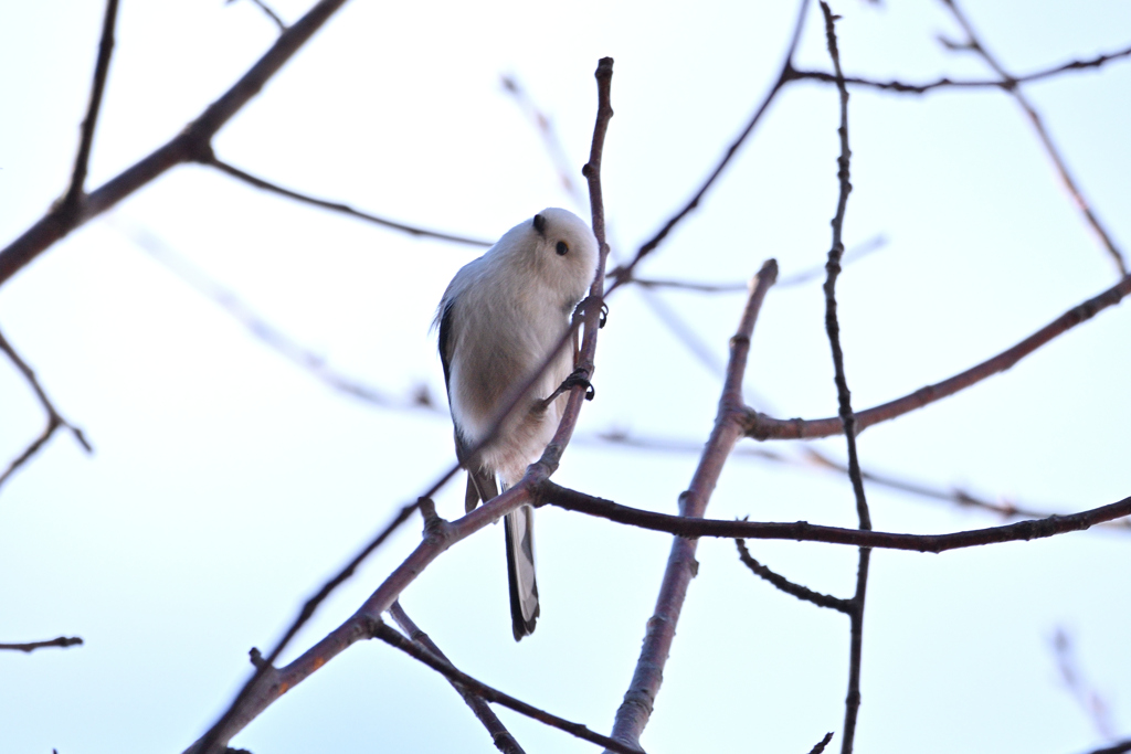 会えましたね～