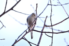 会えましたね～