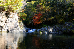 大物がいそうな　(^^;
