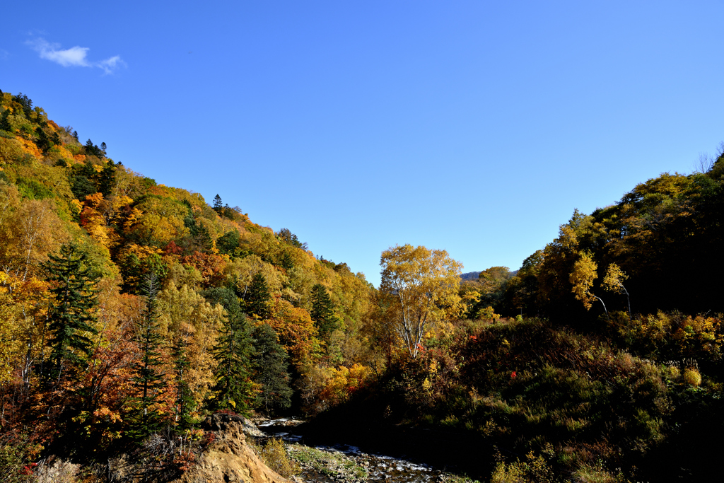 紅葉三昧 その２