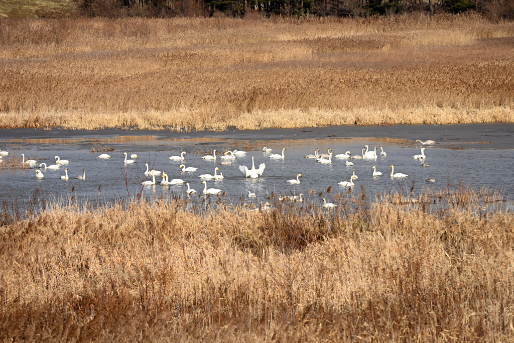 マッタリとした時間
