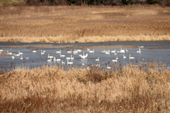 マッタリとした時間