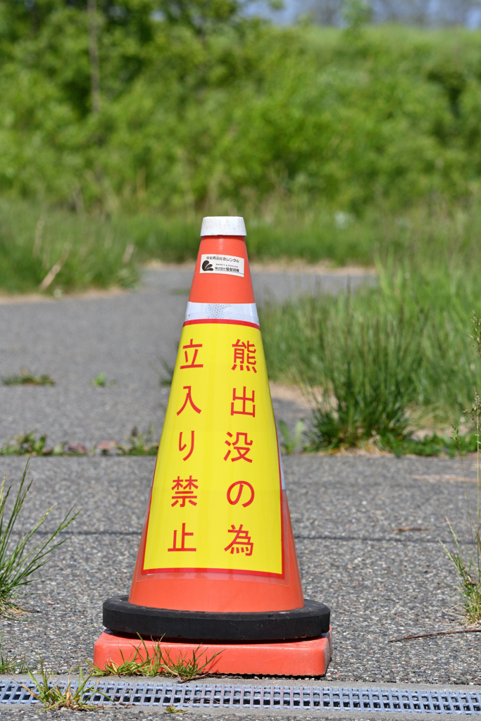 ご注意ください。