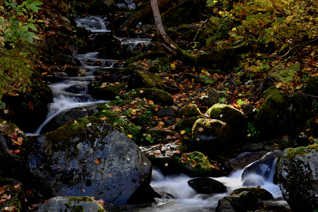 散りばめられて