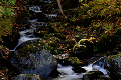 散りばめられて