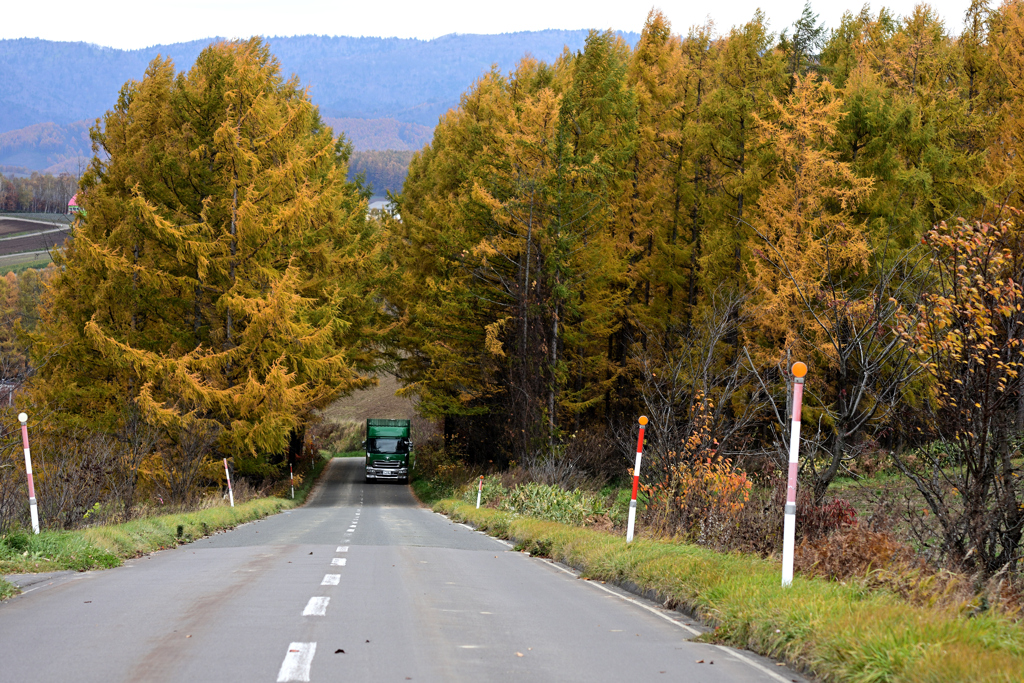 カラマツトンネル